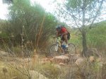 2011-09-17 11.00.36.jpg