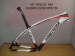 Cuadro Mendiz RX8.jpg