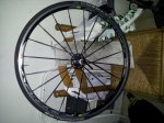 2011-09-18 12.44.42.jpg