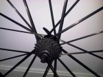 IMG00005-20110909-2020.jpg