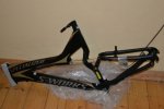 Specialized.jpg
