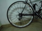 DSC05273.JPG