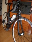 P9190322 (Copiar).JPG