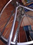 23022011164 (Copiar).jpg