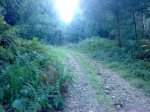 DSC09818.JPG