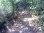 DSC09806.JPG