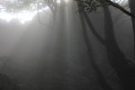 IMG_0187.JPG