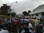 cebolleta-18092011086.jpg