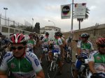 cebolleta-18092011080.jpg