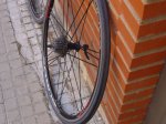 DSC03929.jpg