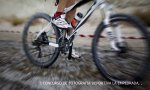 JAVIER GIL_MOTOR MTB.jpg