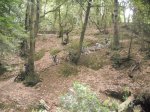 DSCN1608.jpg