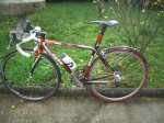bici.jpg