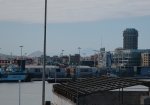 DSC_9455.JPG