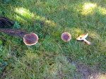 20092011493[1].jpg