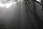 IMG_0187.JPG