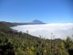 DSCN1639.jpg
