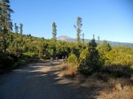 DSCN1578.jpg