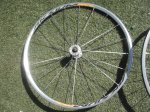 DSCF0831.JPG