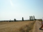 DSCN4366.jpg