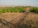 DSCN4362.jpg