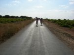 DSCN4371.jpg