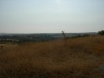 DSCN4364.jpg