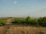 DSCN4361.jpg