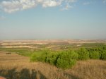 DSCN4360.jpg