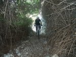 DSCF5798.JPG