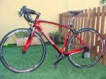 SPECIALIZED 3.JPG