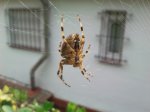 2011-09-22 12.15.51.jpg