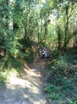 DSC03568.JPG