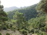 CIMG0759.JPG