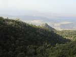 CIMG0763.JPG