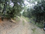CIMG0760.JPG