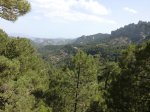 CIMG0782.JPG