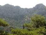 CIMG0783.JPG
