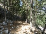 CIMG0791.JPG