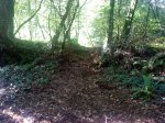 DSC09842.JPG