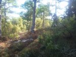 DSC00522.JPG