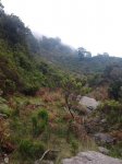 2011-09-24 11.46.49_800x600.jpg