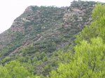 DSCN6846.JPG