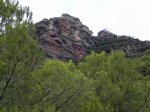 DSCN6849.JPG