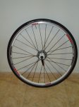DSC00602.JPG