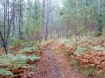 DSC09854.JPG