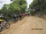 arrossada 017.jpg