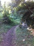 25092011100.jpg
