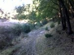 25092011099.jpg