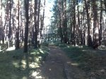 25092011101.jpg